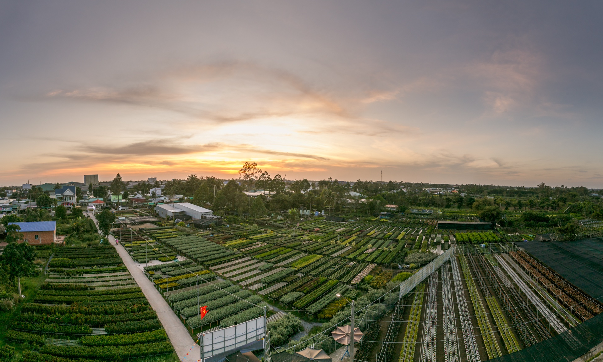 lang hoa lon nhat mien tay tat thu phi tham quan anh 1