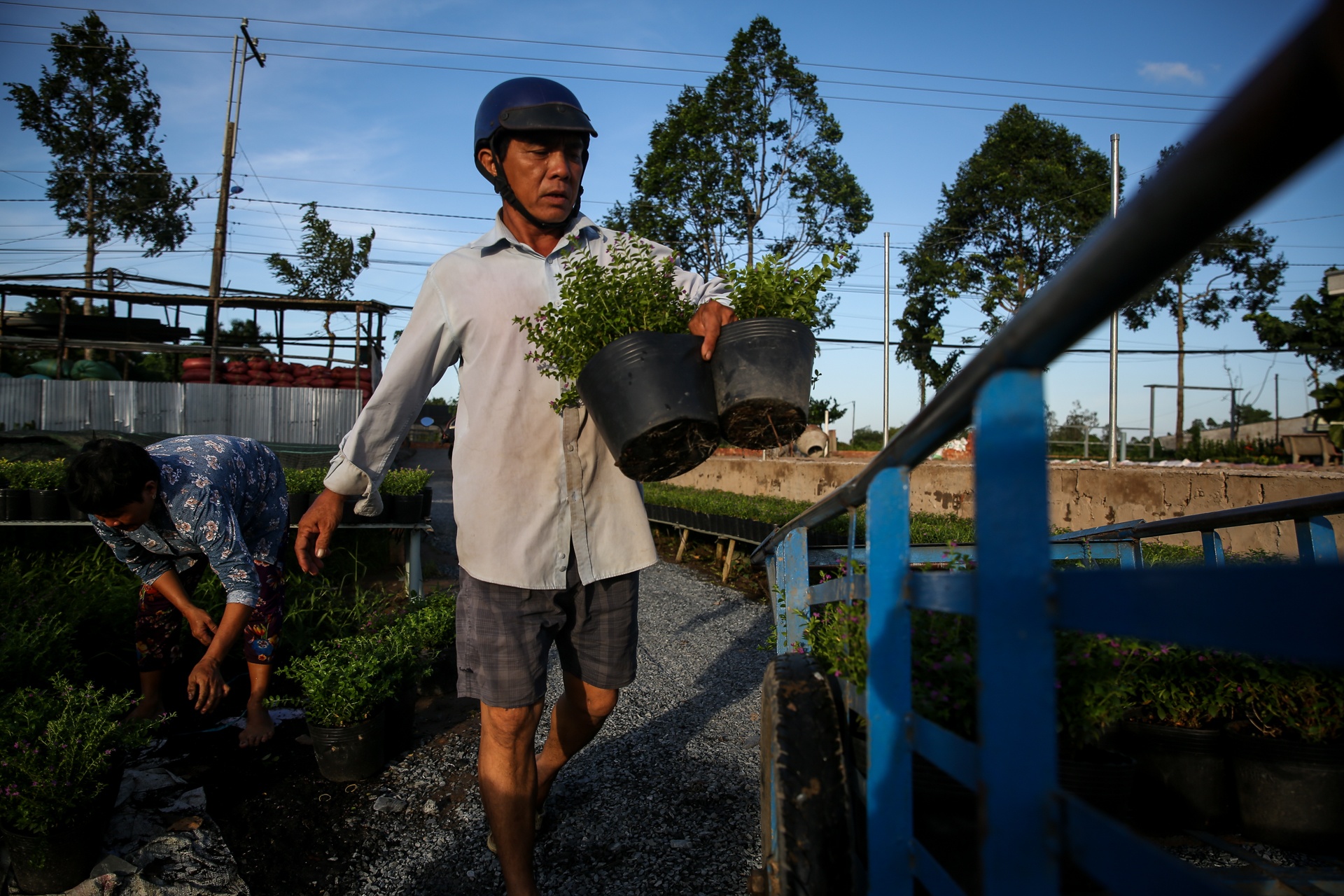 lang hoa lon nhat mien tay tat thu phi tham quan anh 5