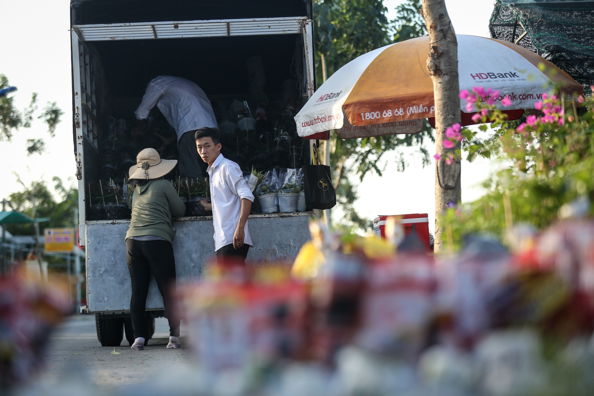 lang hoa lon nhat mien tay tat thu phi tham quan anh 7