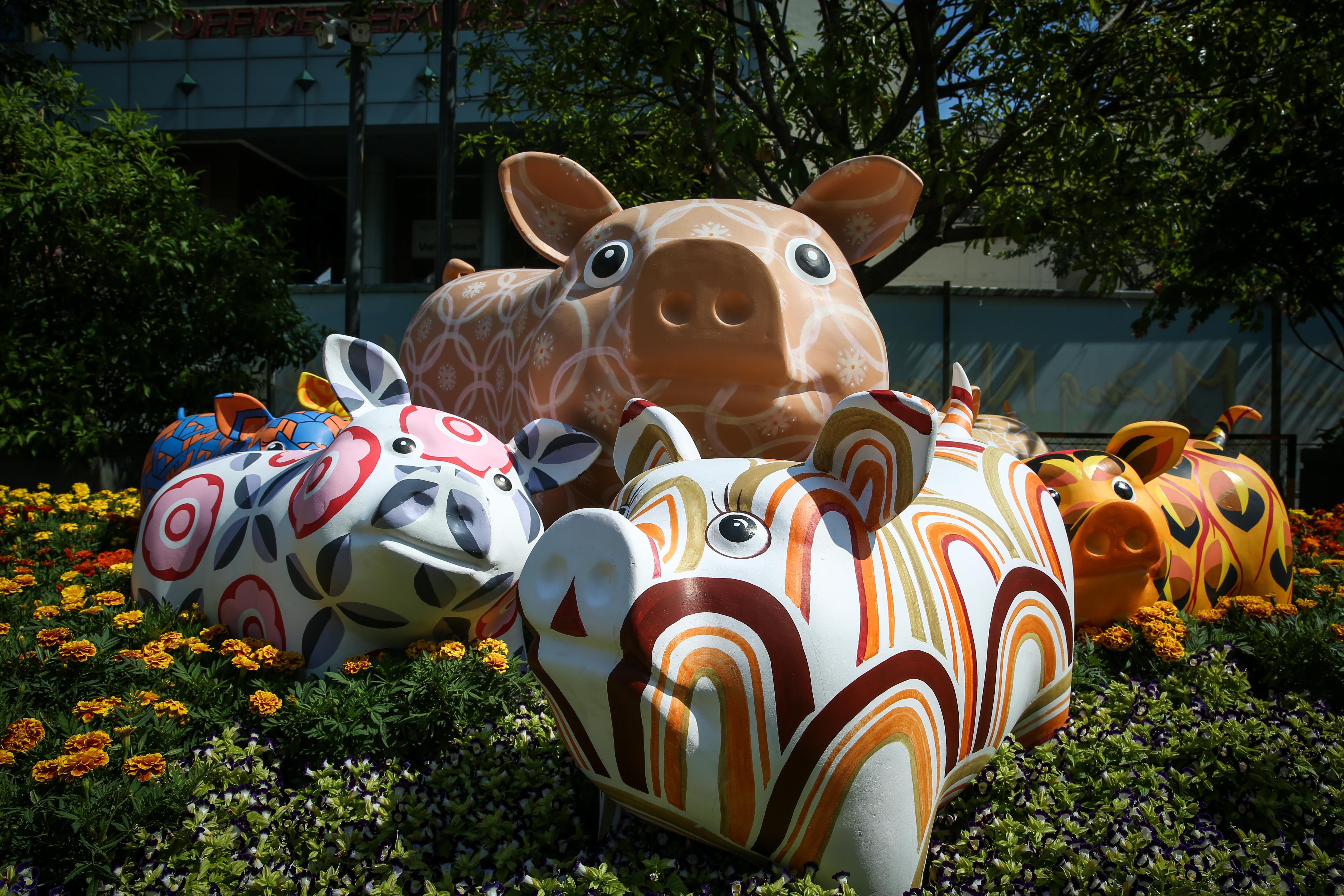 dan heo linh vat o duong hoa nguyen hue anh 8