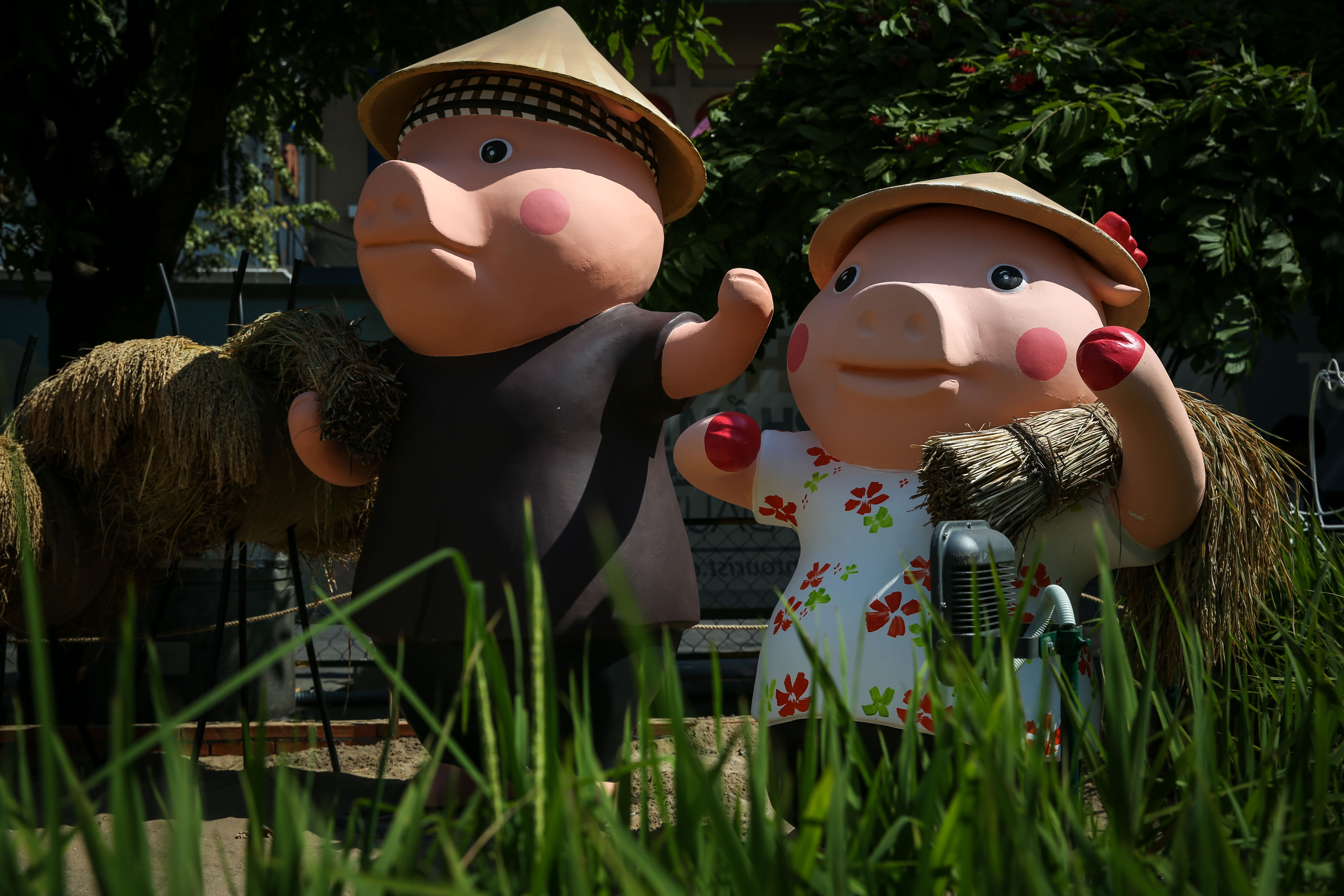 Dan heo linh vat ngo nghinh o duong hoa Tet Nguyen Hue hinh anh