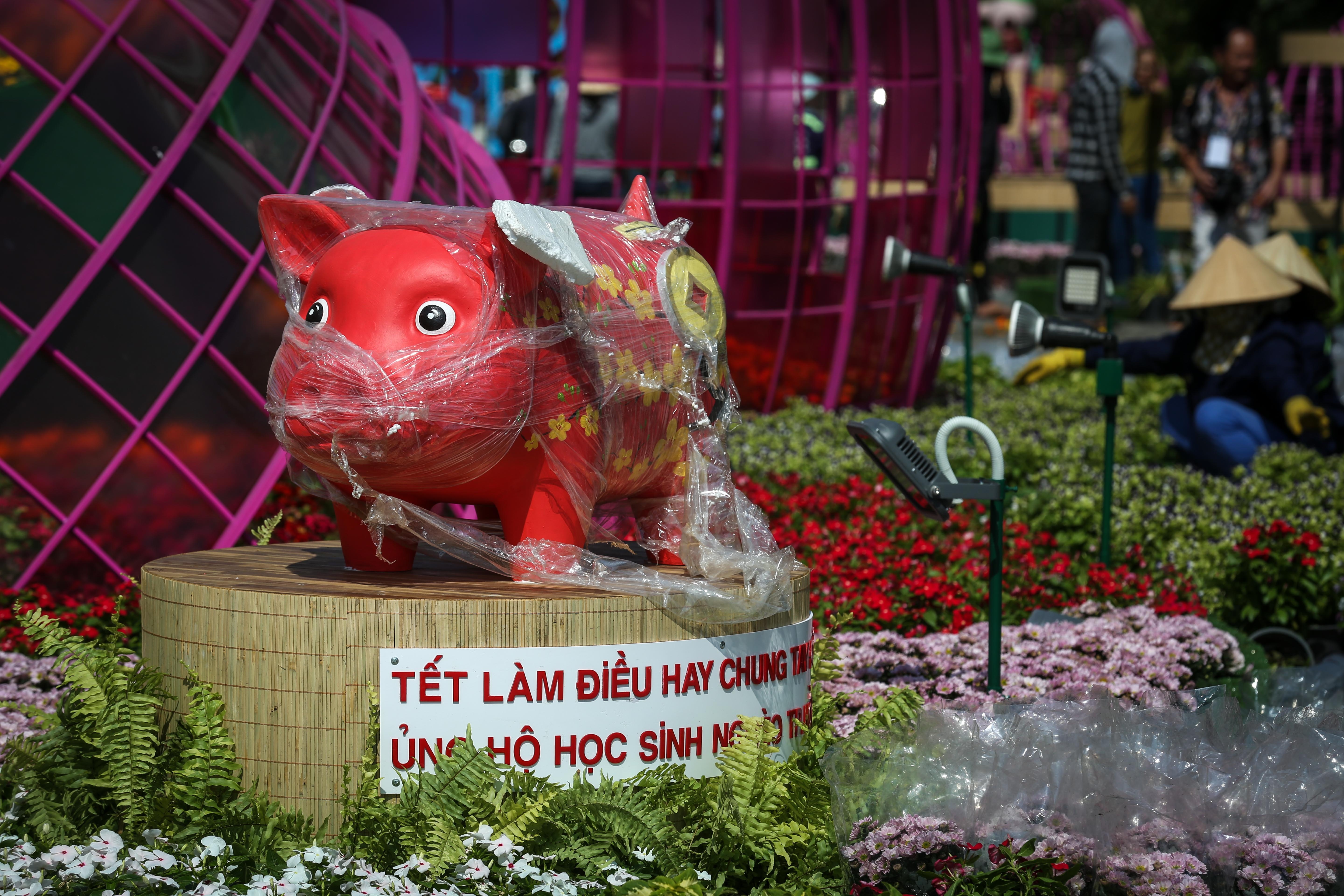 dan heo linh vat o duong hoa nguyen hue anh 5