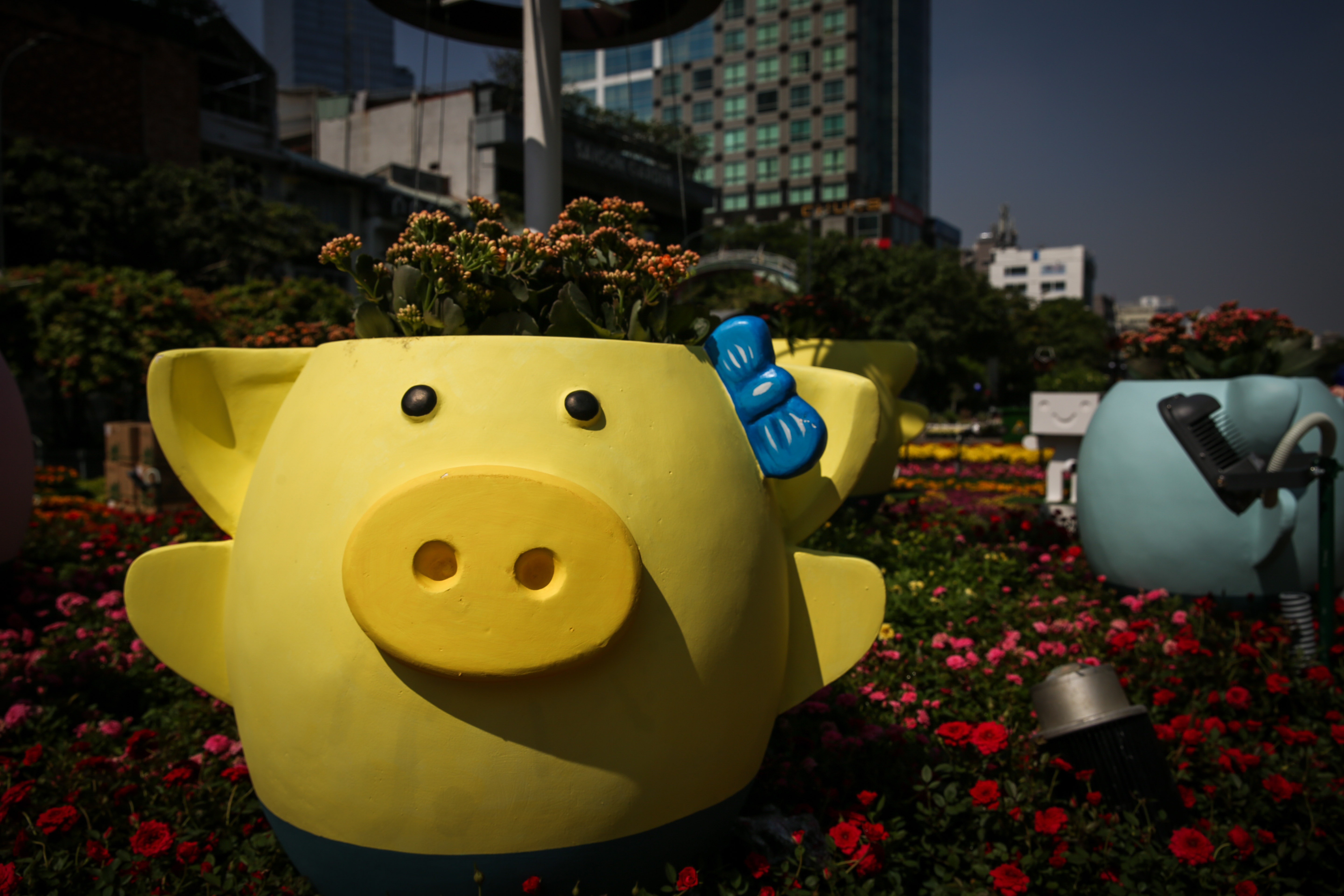 dan heo linh vat o duong hoa nguyen hue anh 14