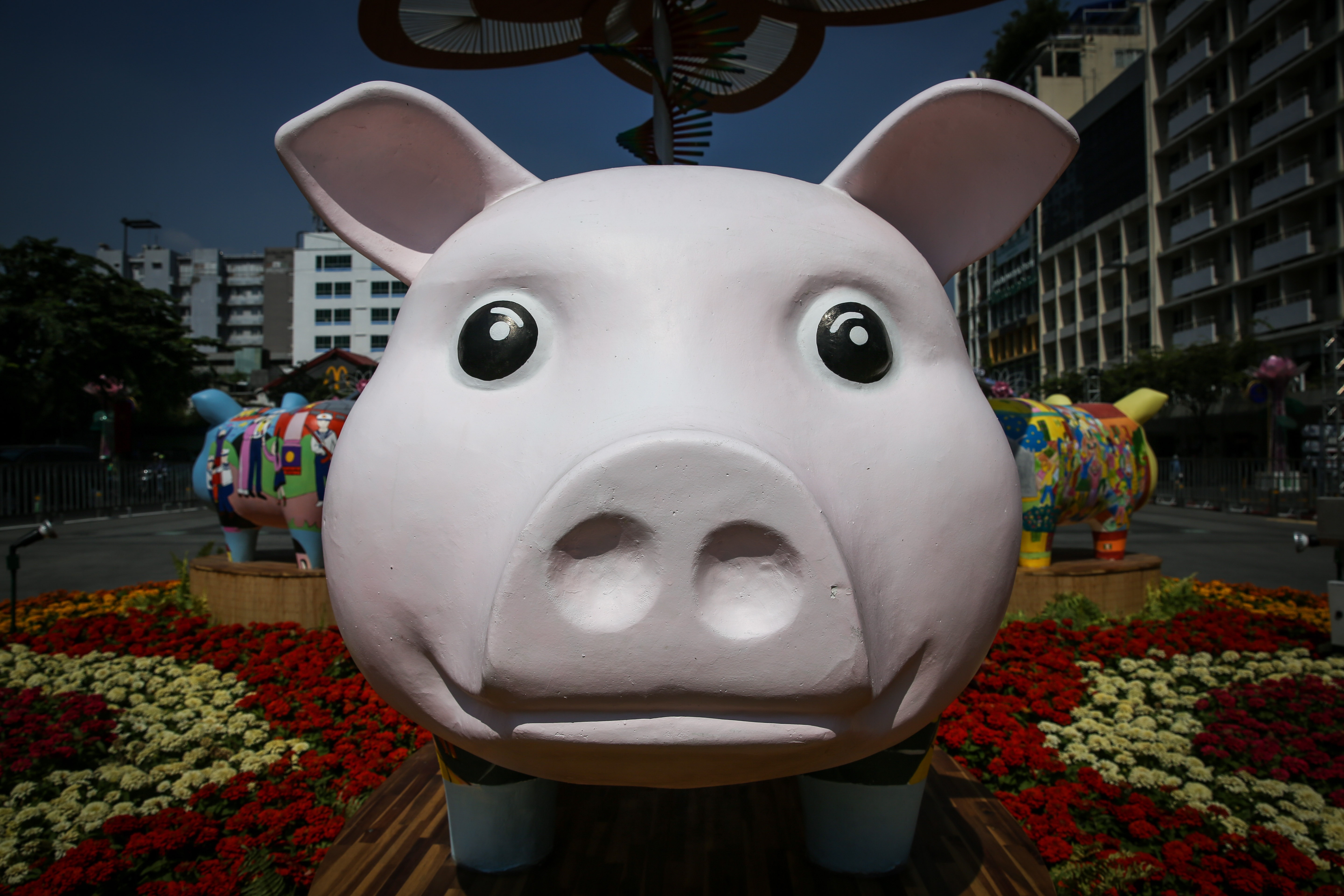 dan heo linh vat o duong hoa nguyen hue anh 3