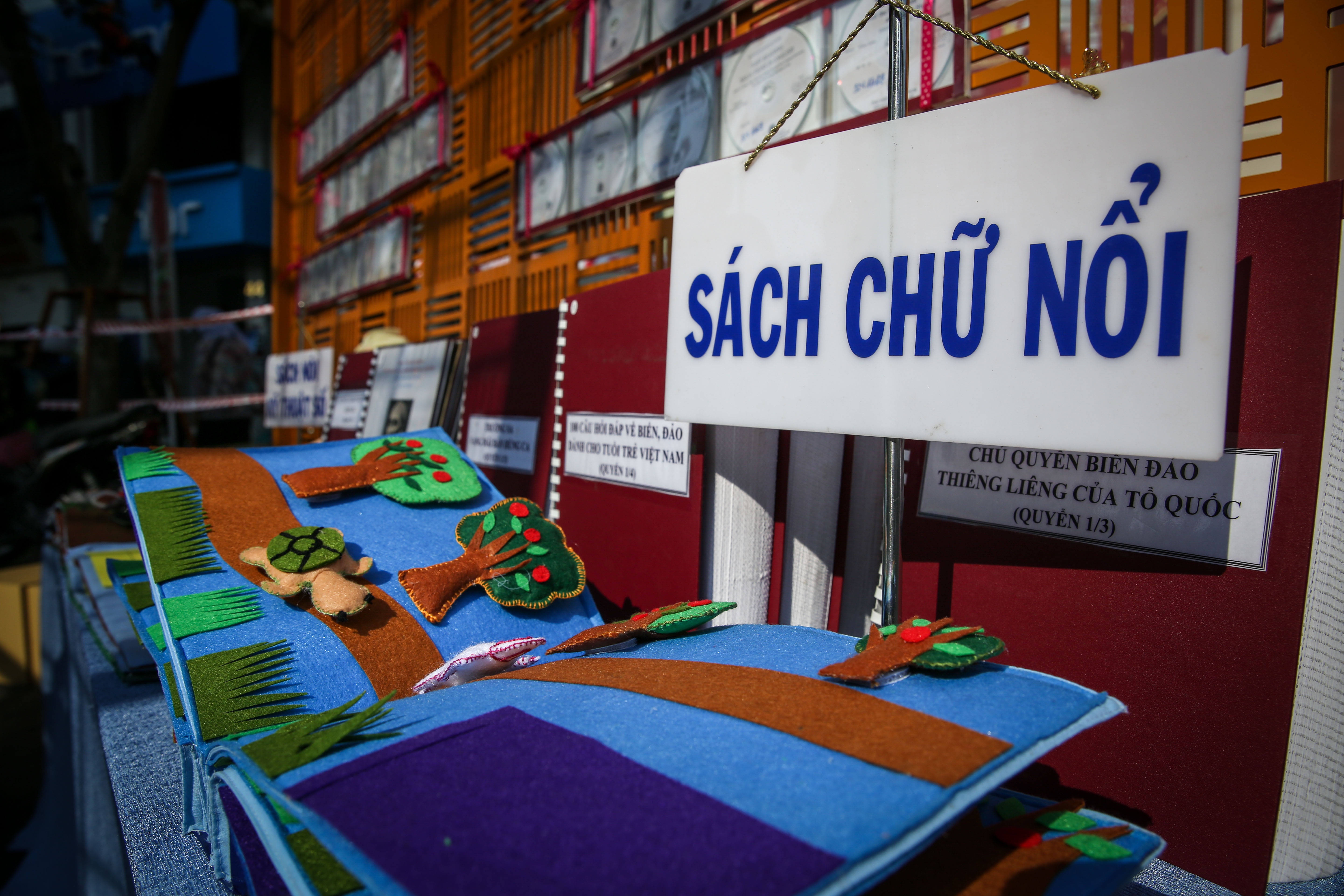 le hoi sach ruc ro sac mau o duong hoa Nguyen Hue anh 8