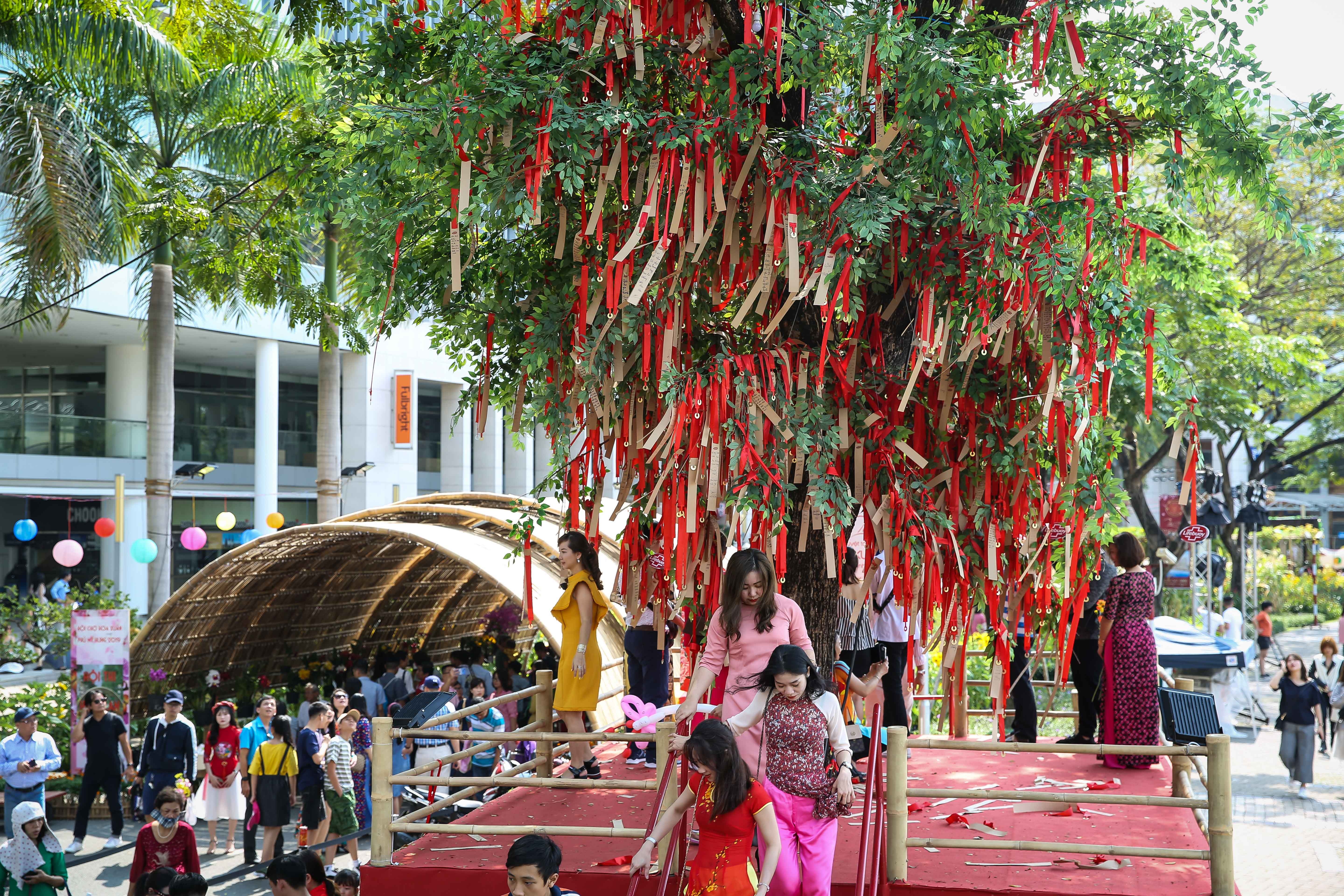 xo day o hoi hoa xuan Phu My Hung anh 14