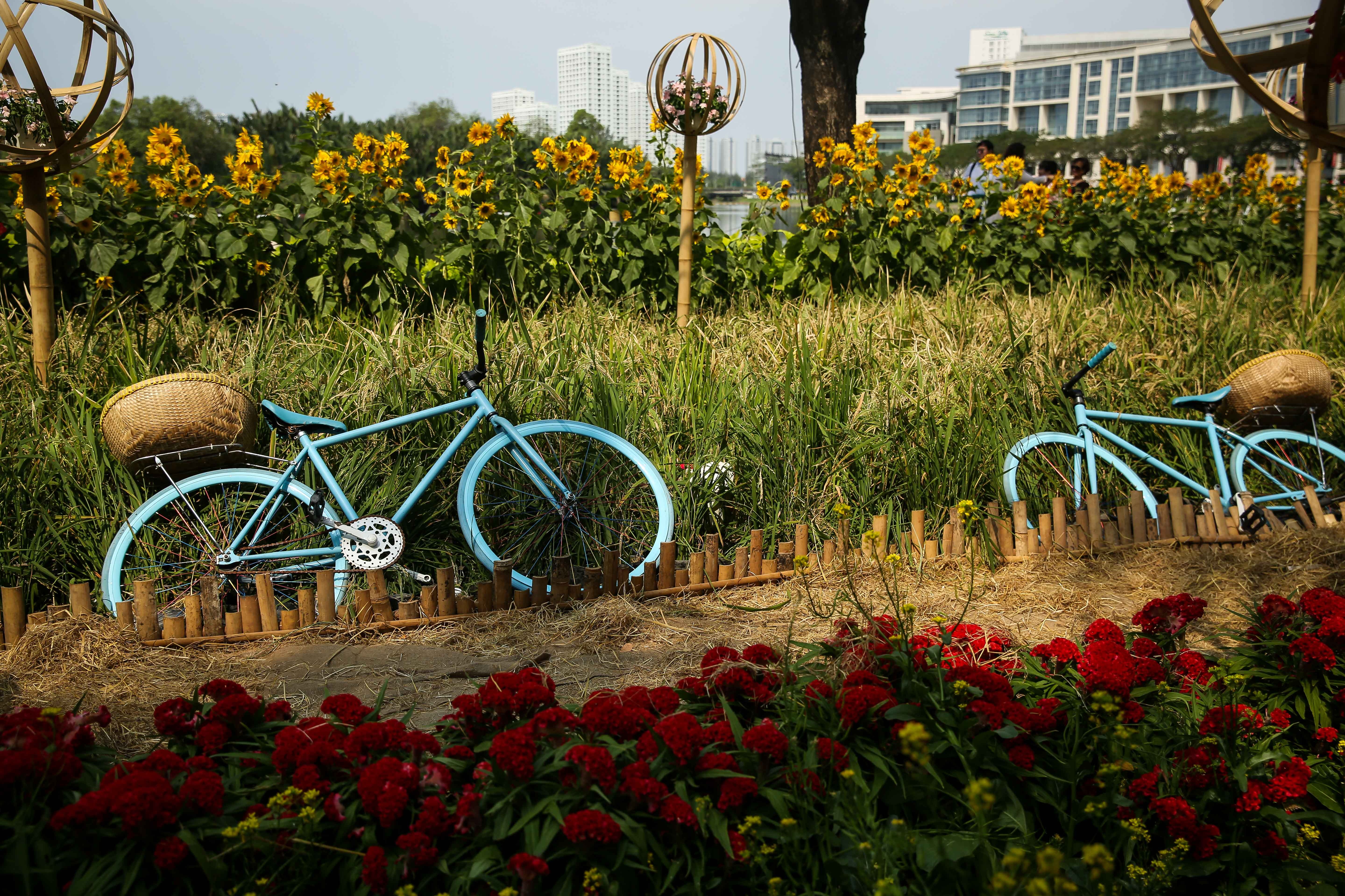 xo day o hoi hoa xuan Phu My Hung anh 10