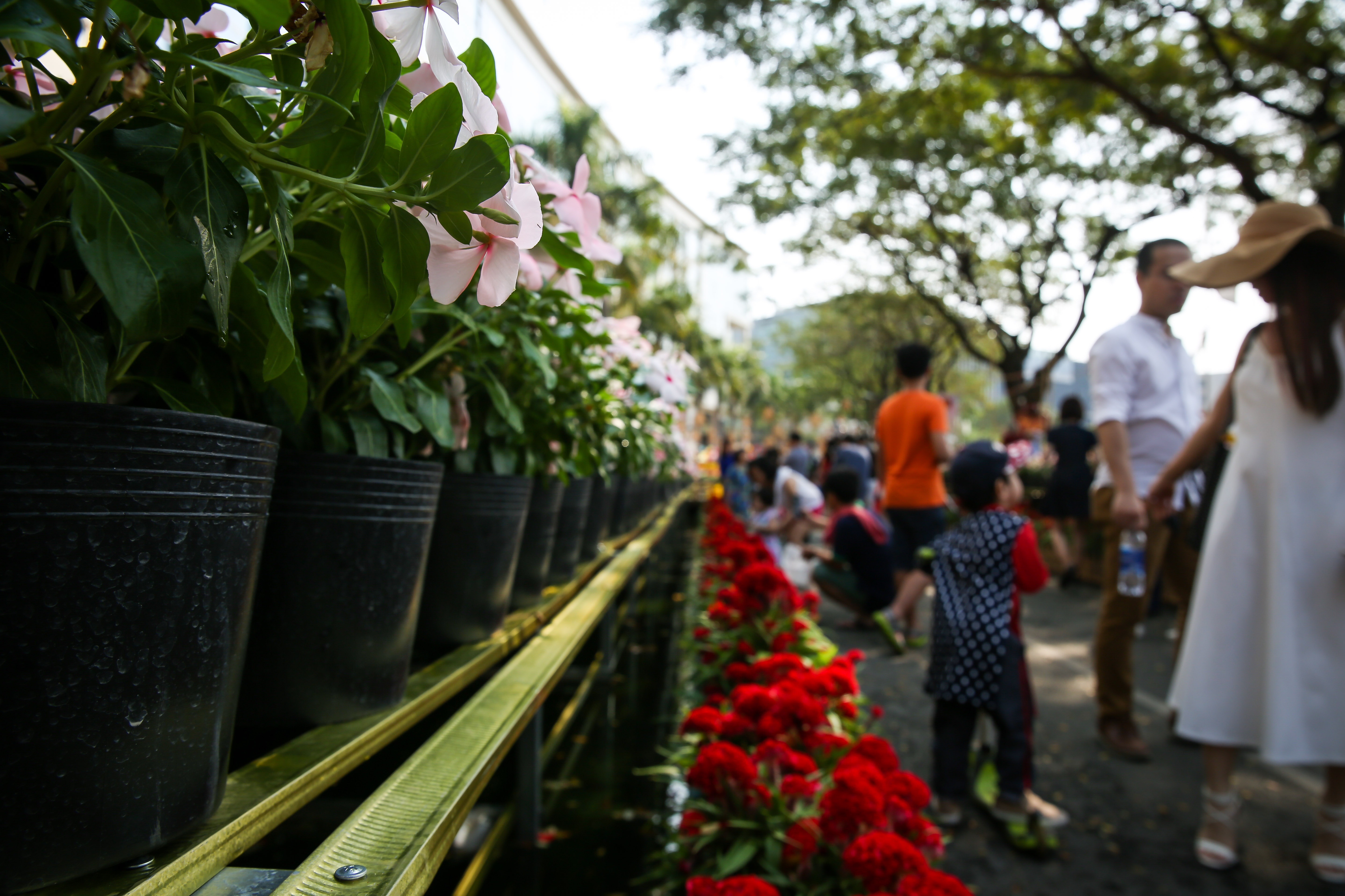 xo day o hoi hoa xuan Phu My Hung anh 2