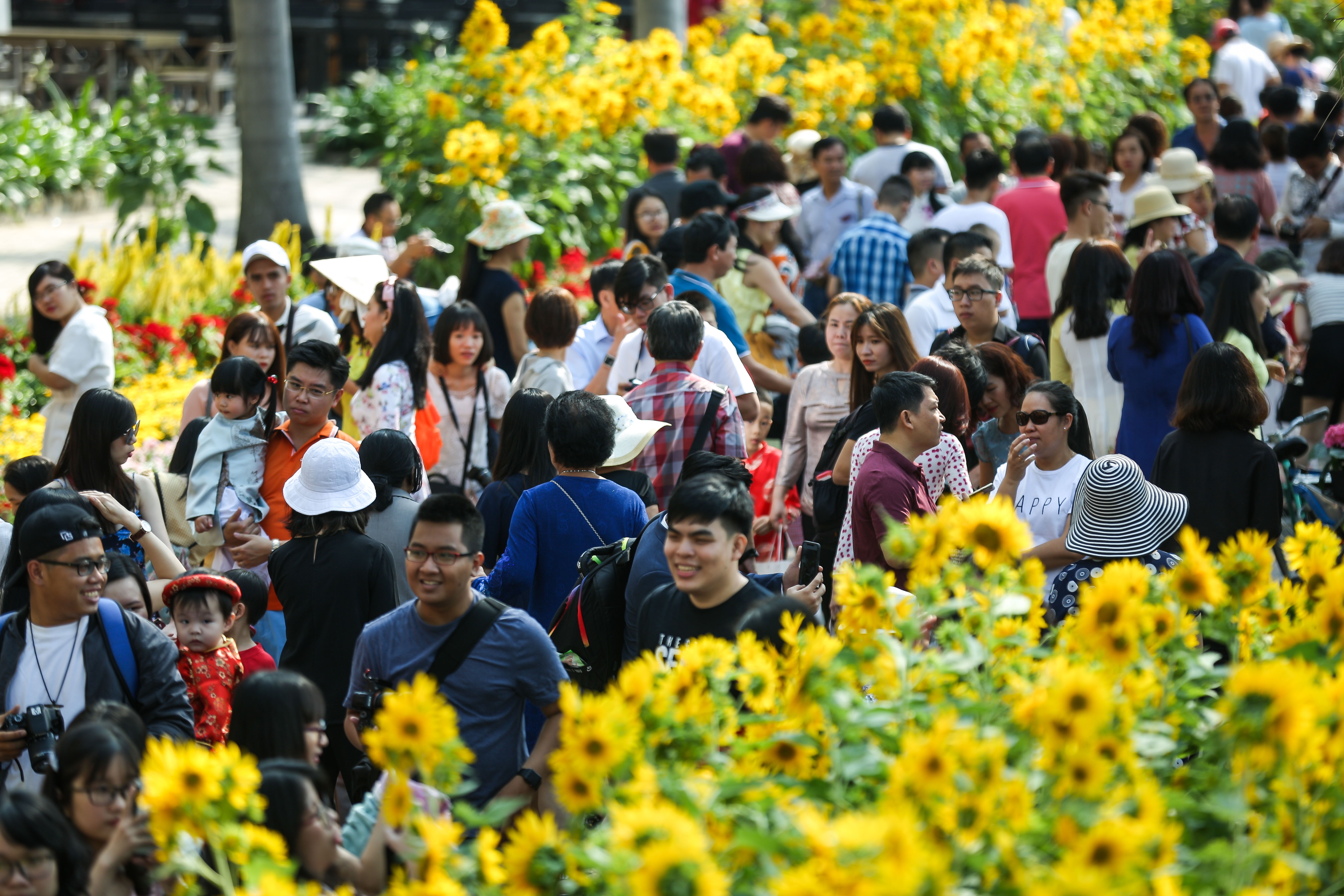 xo day o hoi hoa xuan Phu My Hung anh 4