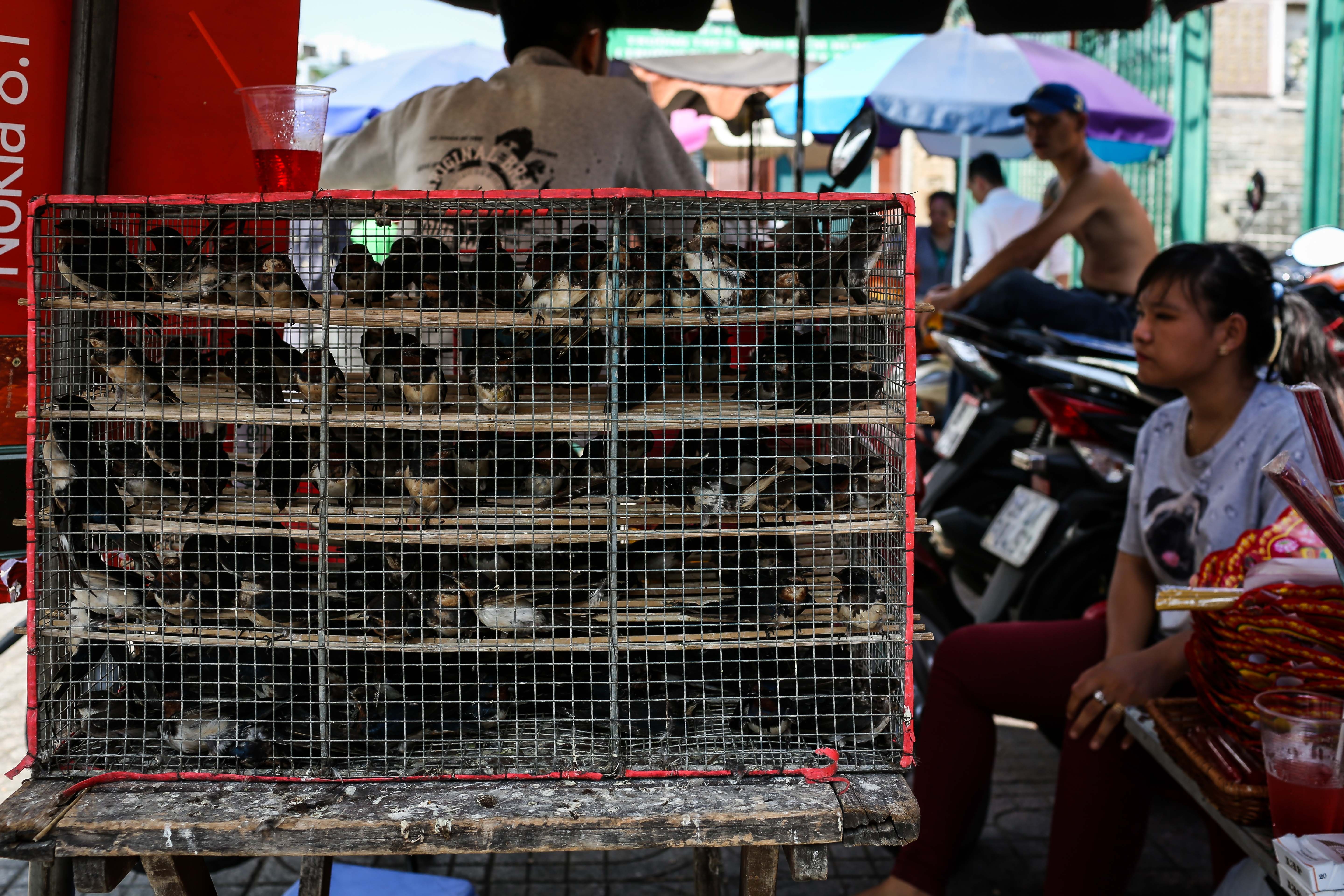 chua Ba Sai Gon Tet Nguyen tieu anh 2