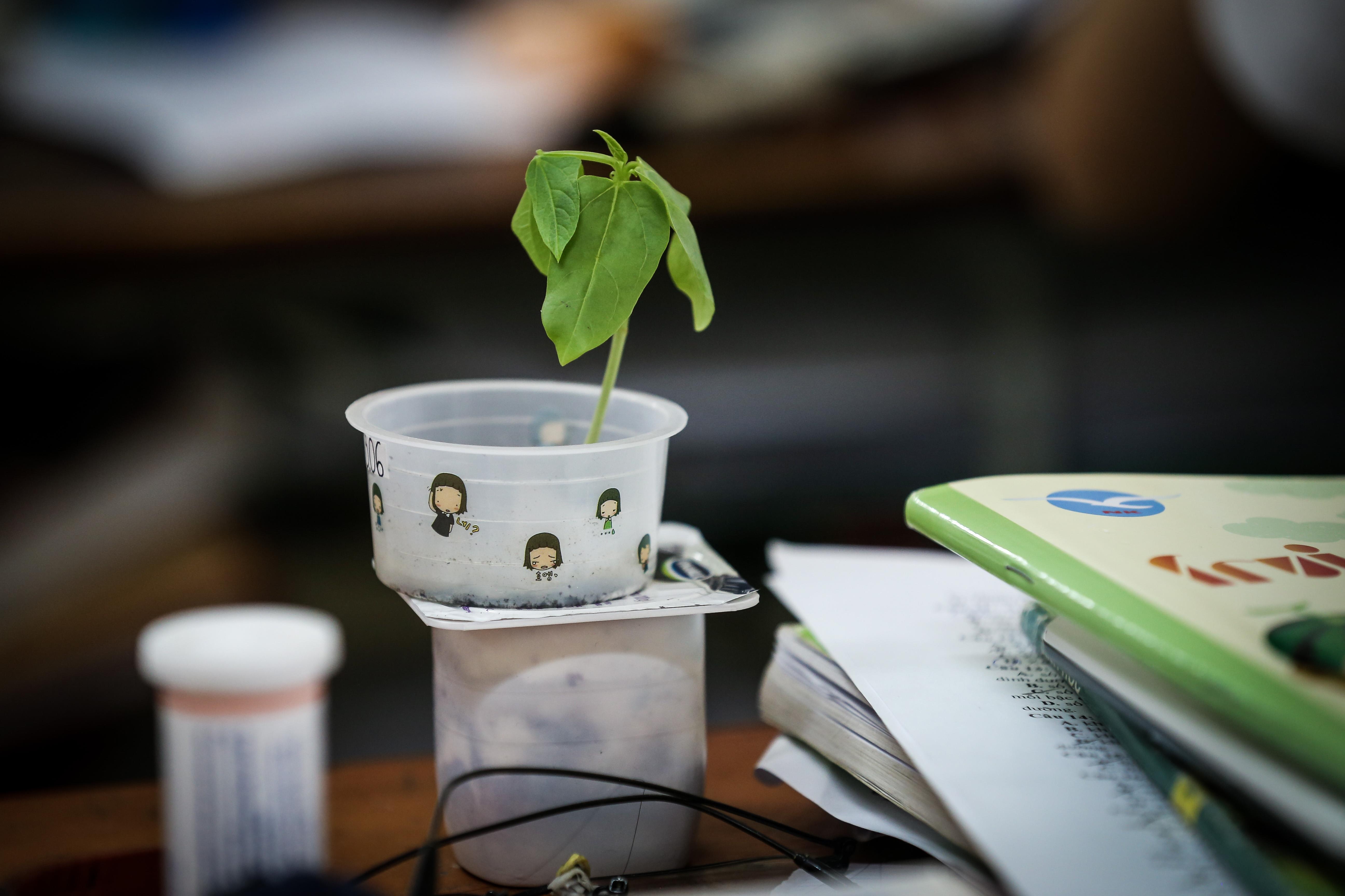 thi THPT quốc gia 2019 ảnh 24 thi THPT quoc gia 2019 anh 24