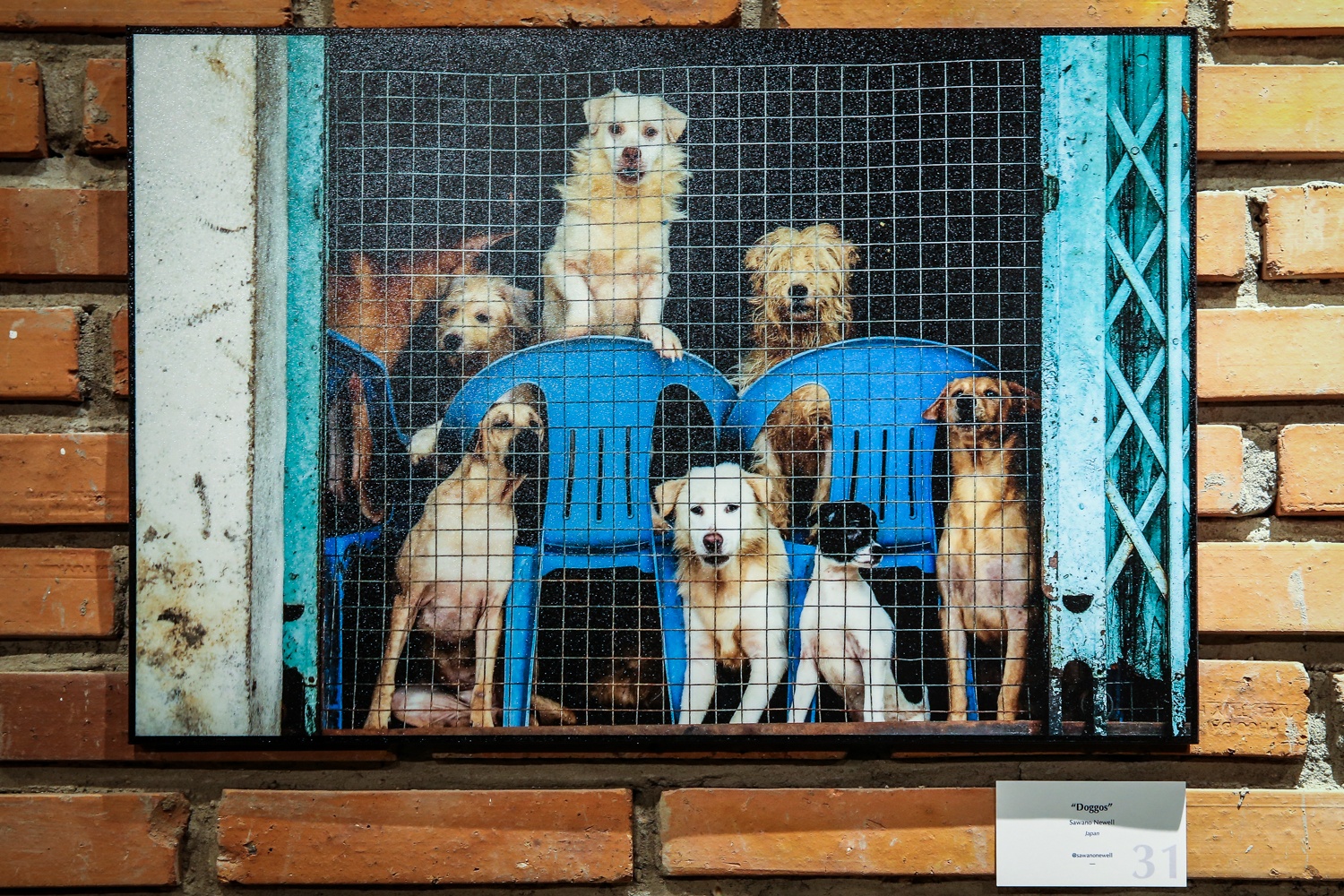 Nhip song Sai Gon qua doi mat cua nguoi nuoc ngoai hinh anh