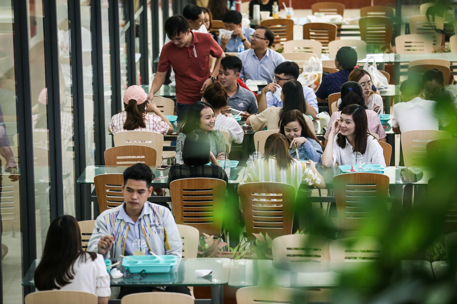 khu am thuc cua dai hoc hong bang anh 1