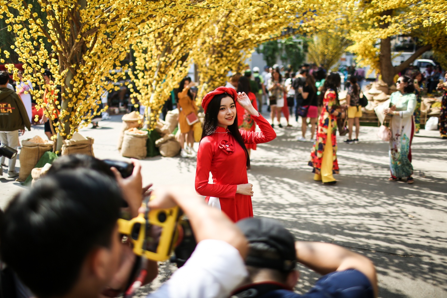 duong mai,  pho ong do,  tet,  tet 2019 anh 6