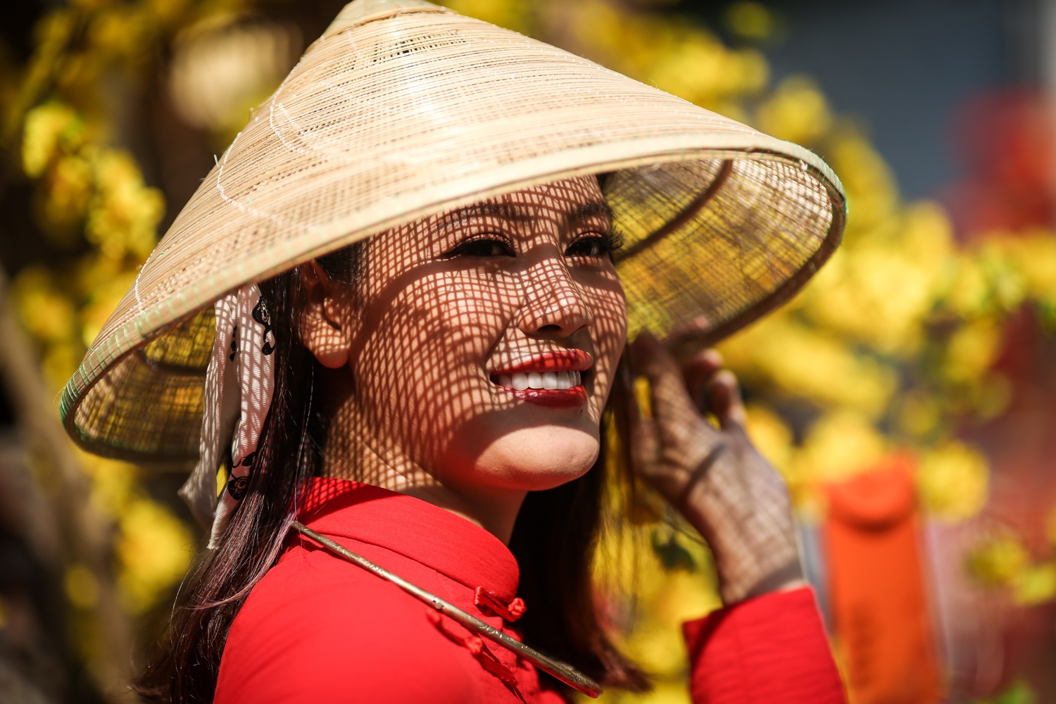 duong mai,  pho ong do,  tet,  tet 2019 anh 3
