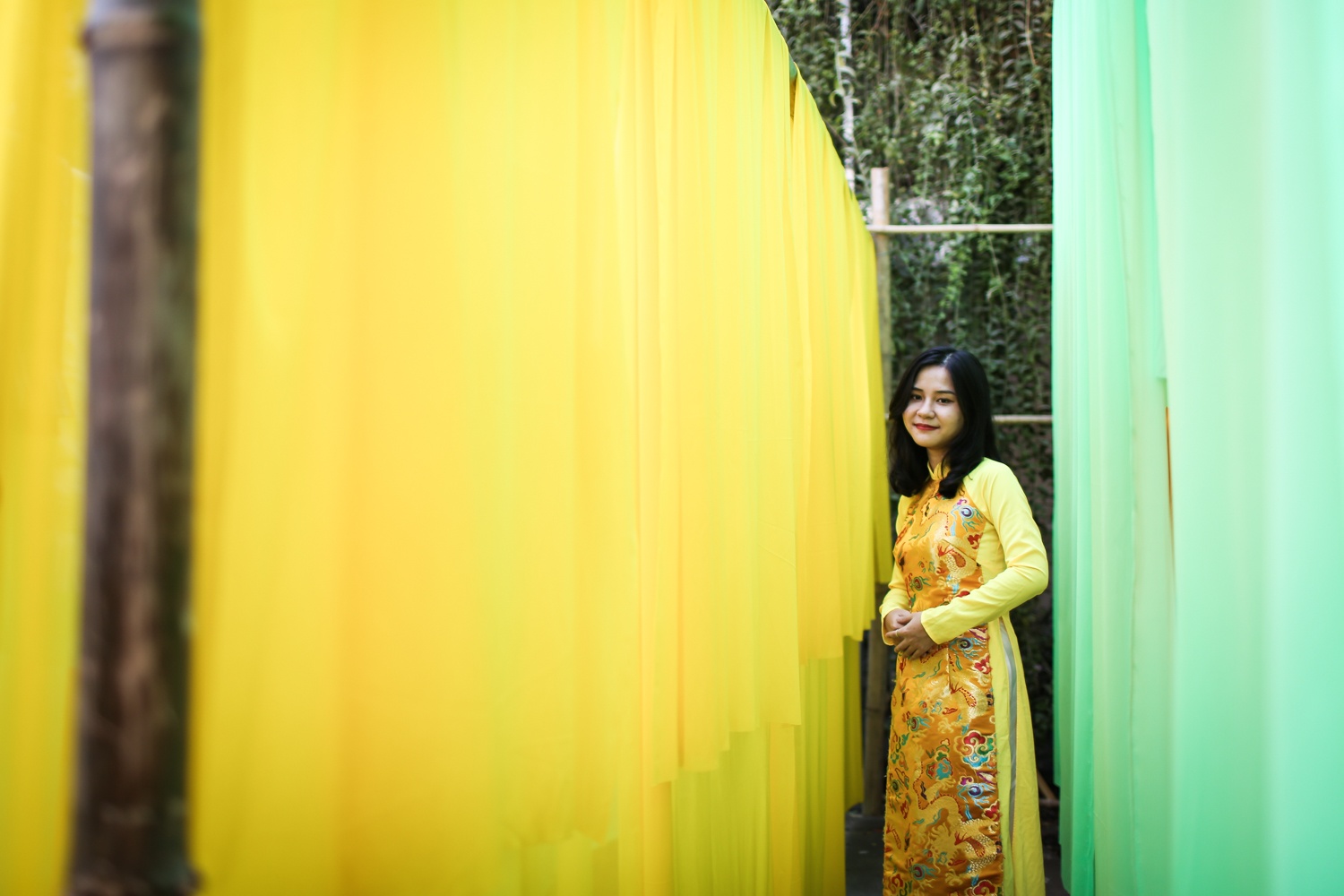 duong mai,  pho ong do,  tet,  tet 2019 anh 5