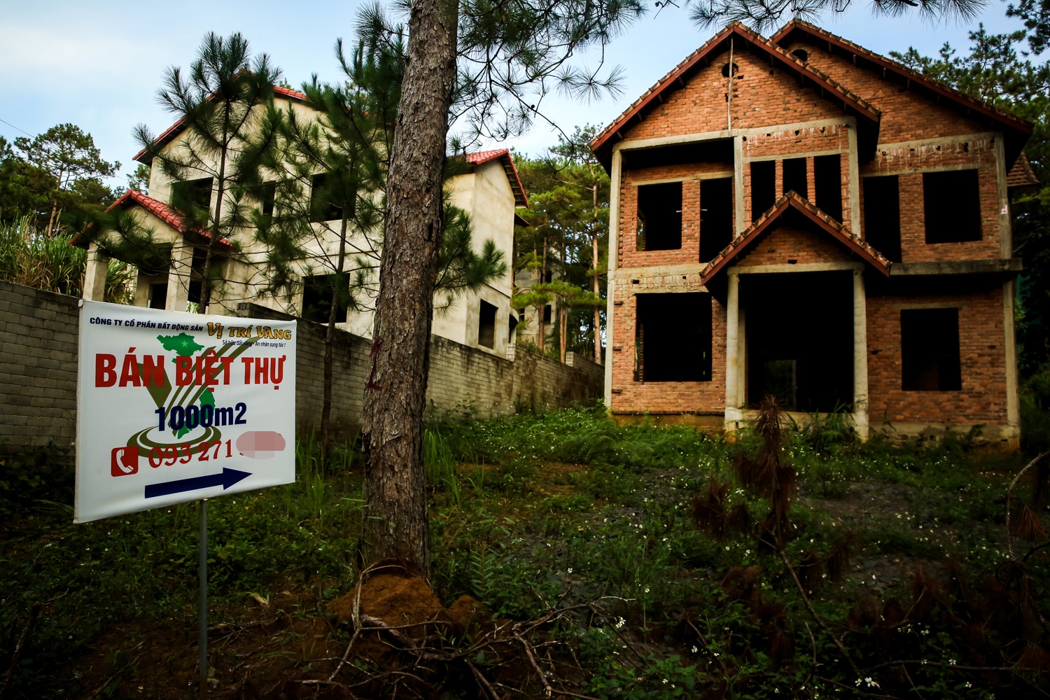 biet thu mang den,  mang den,  biet thu,  biet thu 1000m2,  mua ban biet thu anh 11