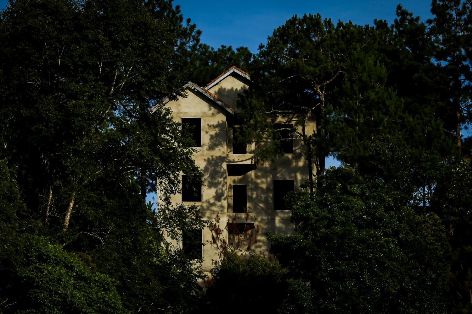 biet thu mang den,  mang den,  biet thu,  biet thu 1000m2,  mua ban biet thu anh 7