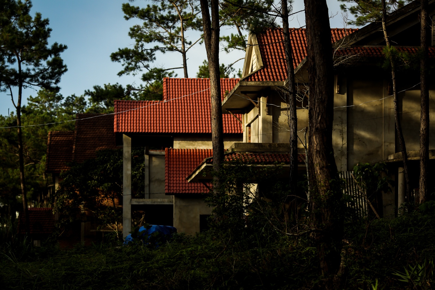 biet thu mang den,  mang den,  biet thu,  biet thu 1000m2,  mua ban biet thu anh 2