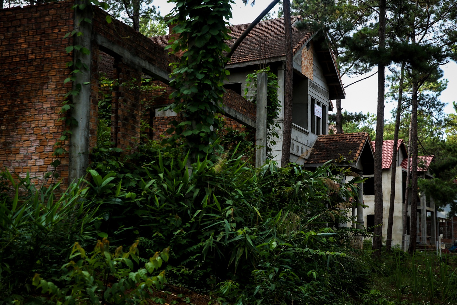 biet thu mang den,  mang den,  biet thu,  biet thu 1000m2,  mua ban biet thu anh 9