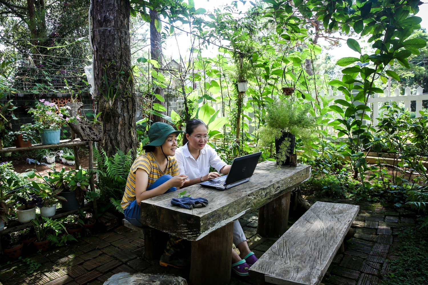 khoi nghiep mang den,  khoi nghiep,  mang den kon tum,  doanh nhan 9x anh 1