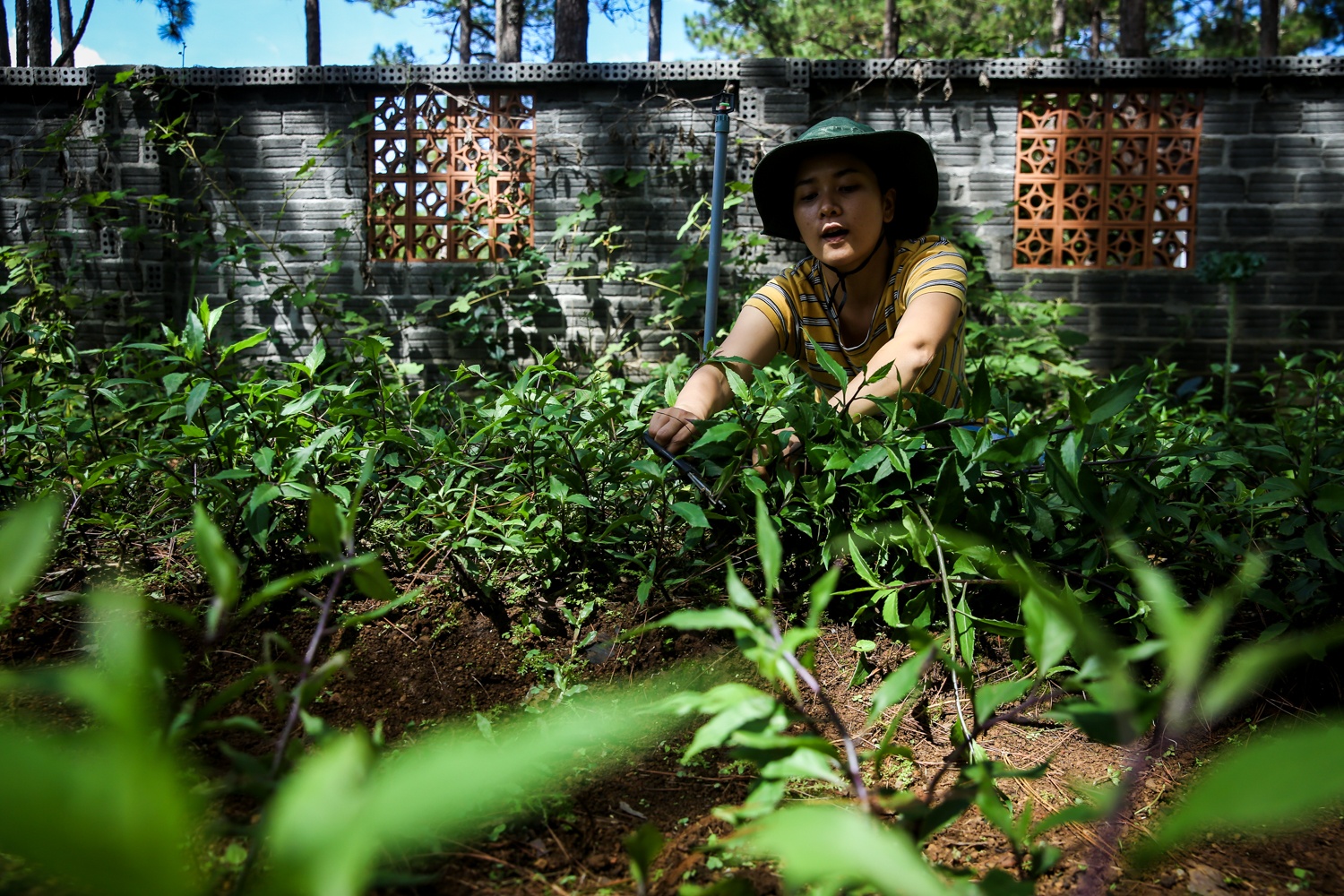 khoi nghiep mang den,  khoi nghiep,  mang den kon tum,  doanh nhan 9x anh 4