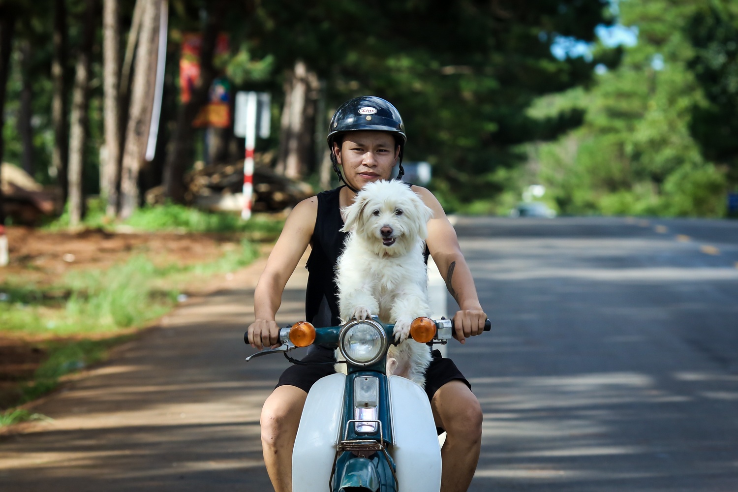 khoi nghiep mang den,  khoi nghiep,  mang den kon tum,  doanh nhan 9x anh 12