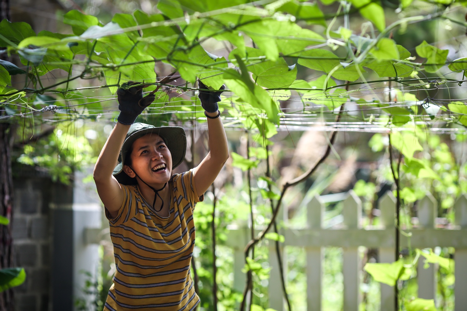 Nhung doanh nhan 9X bo pho len Mang Den khoi nghiep hinh anh