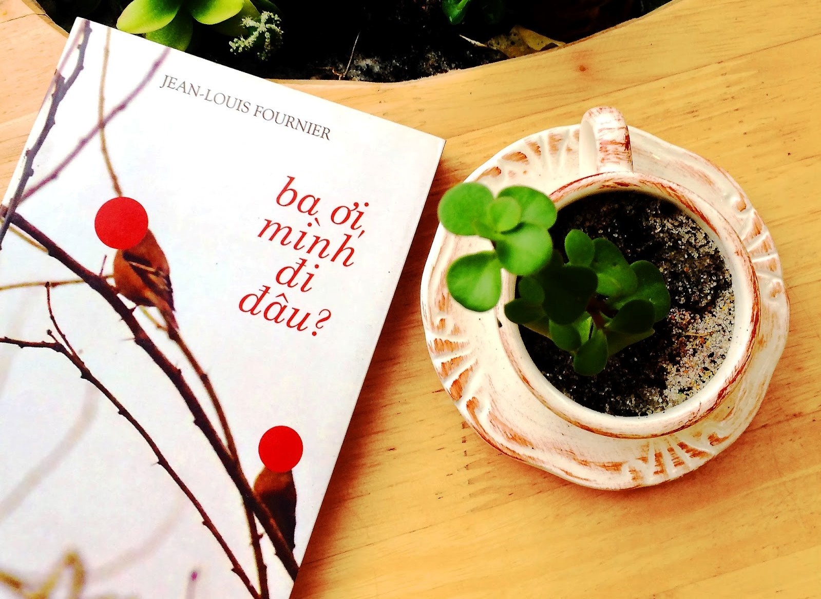 cuốn sách dành cho trẻ chậm phát triển ảnh 2 cuon sach danh cho tre cham phat trien anh 2