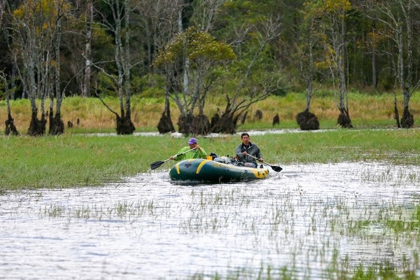 rừng phong lá đỏ ở Đà Lạt ảnh 7 rung phong la do o Da Lat anh 7