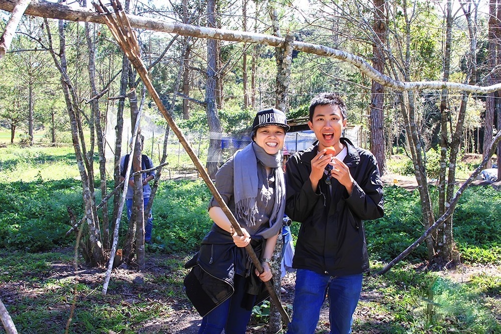 rừng phong lá đỏ ở Đà Lạt ảnh 6 rung phong la do o Da Lat anh 6