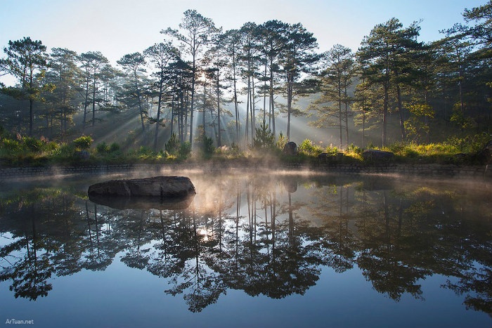 rừng phong lá đỏ ở Đà Lạt ảnh 9 rung phong la do o Da Lat anh 9