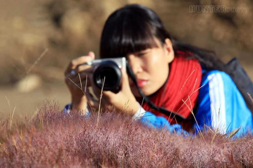 Sao cỏ hồng biến thành cỏ tuyết ảnh 3 Sao co hong bien thanh co tuyet anh 3