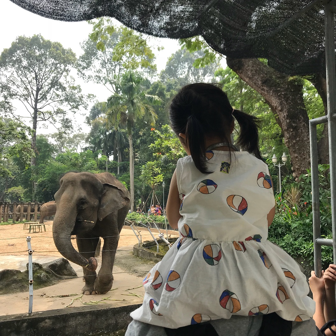 4 dia diem ly ky o sai gon di choi dip cuoi tuan anh 15