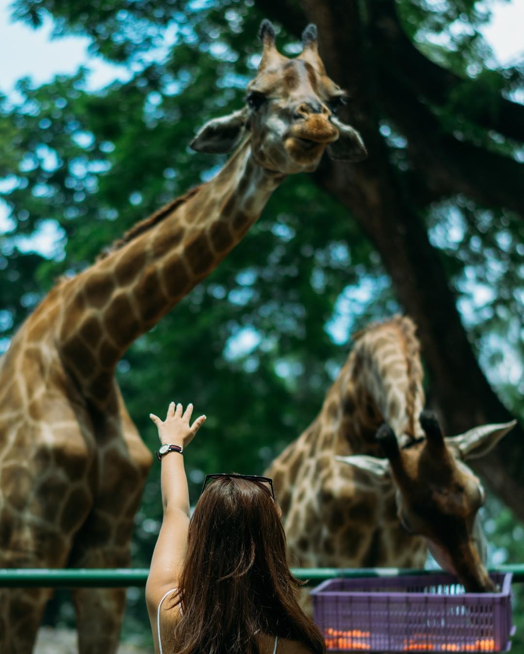 4 dia diem ly ky o sai gon di choi dip cuoi tuan anh 12