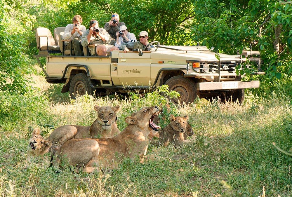 Nhung goi y hay cho nguoi du lich mot minh anh 2
