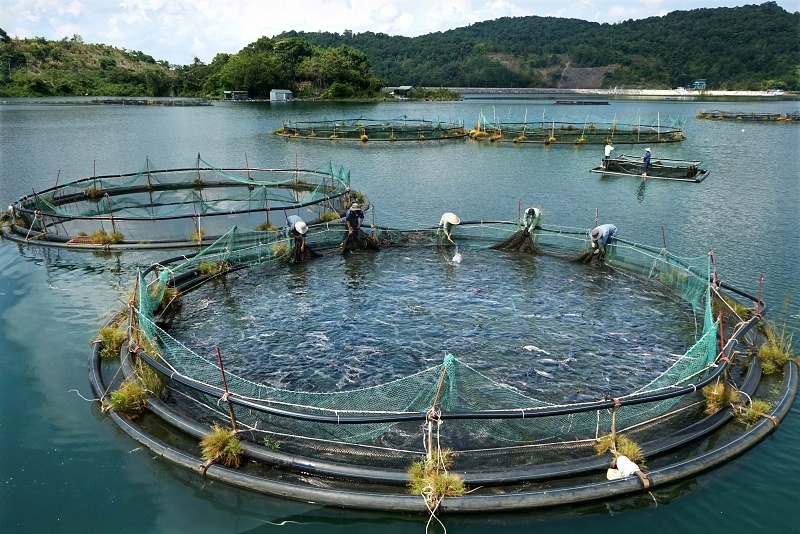 5 diem den o Binh Thuan cho cac phuot thu anh 27