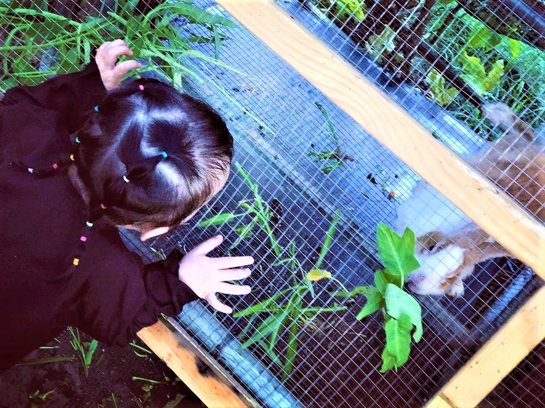 5 điểm vui chơi cuối tuần cho gia đình ở sài gòn ảnh 13 5 diem vui choi cuoi tuan cho gia dinh o sai gon anh 13