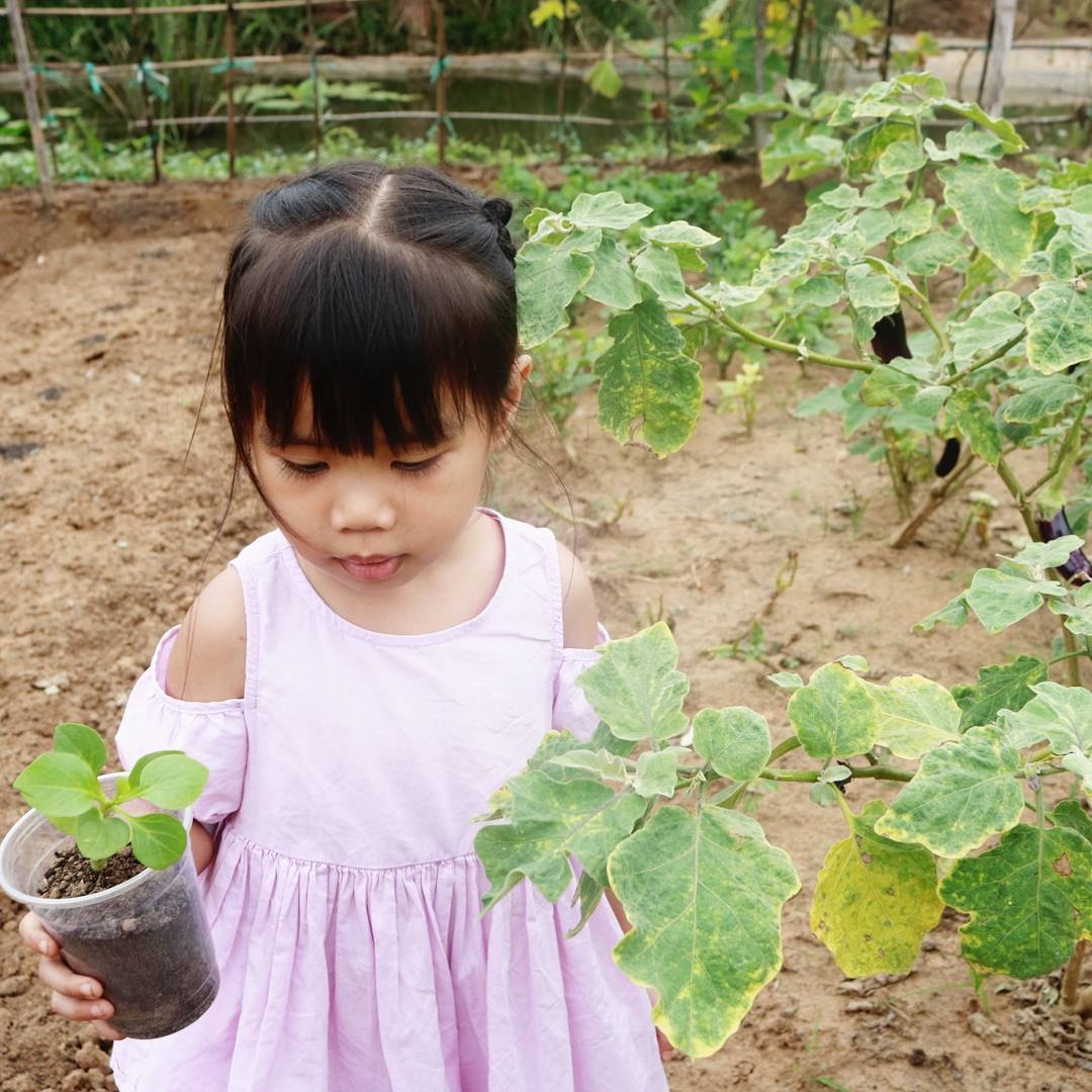 5 điểm vui chơi cuối tuần cho gia đình ở sài gòn ảnh 11 5 diem vui choi cuoi tuan cho gia dinh o sai gon anh 11