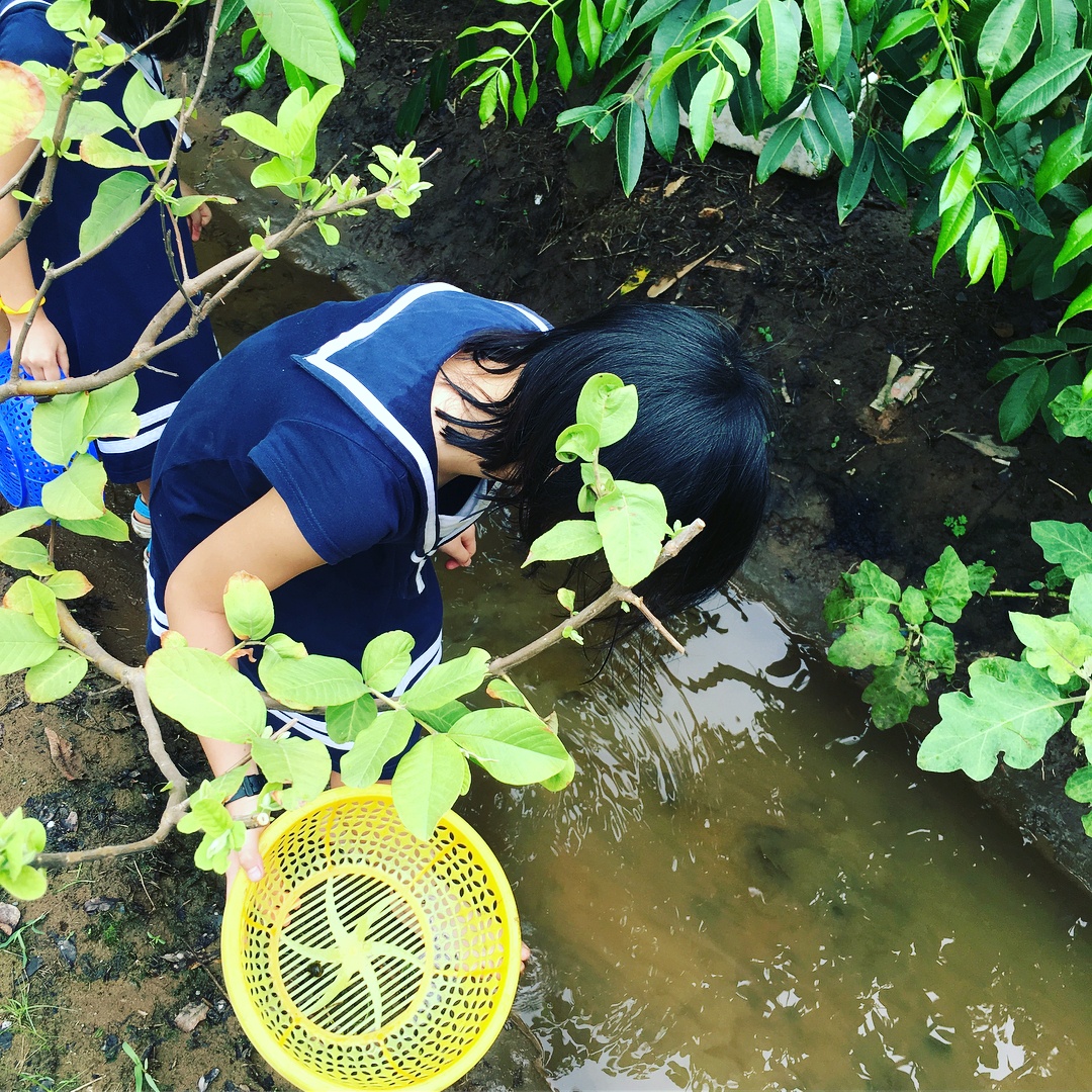 5 điểm vui chơi cuối tuần cho gia đình ở sài gòn ảnh 16 5 diem vui choi cuoi tuan cho gia dinh o sai gon anh 16