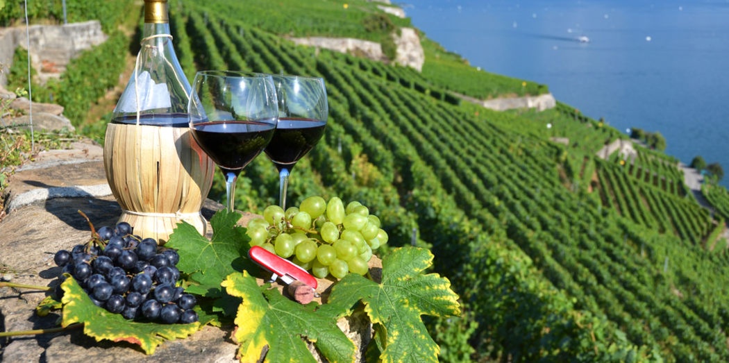 10 trai nghiem thu vi khi du lich split o croatia anh 12