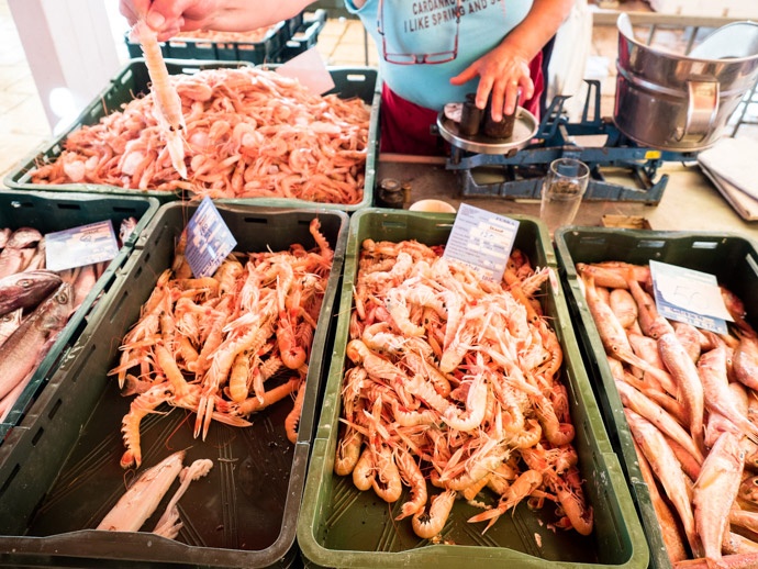 10 trai nghiem thu vi khi du lich split o croatia anh 3