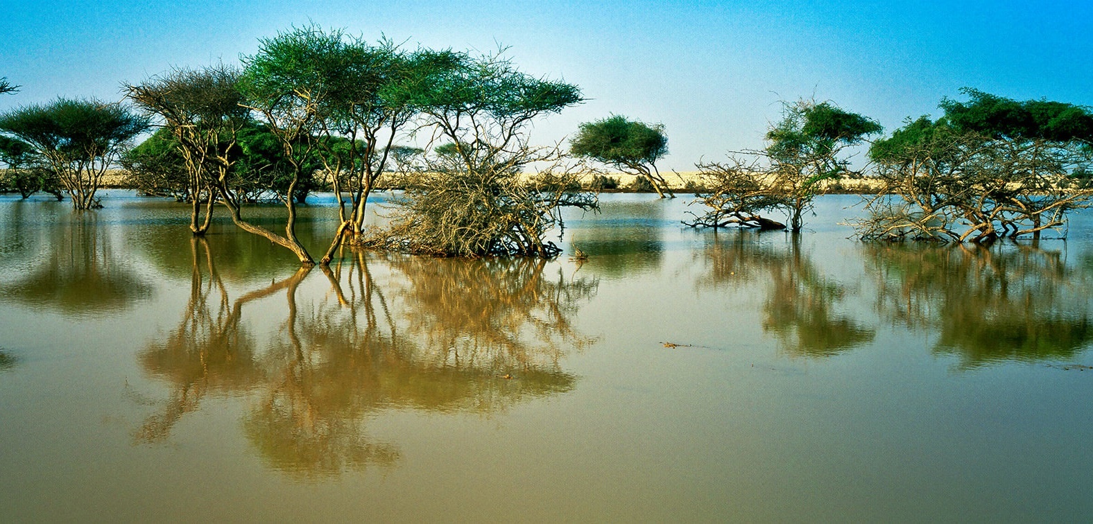 10 dieu nen lam khi den qatar anh 9