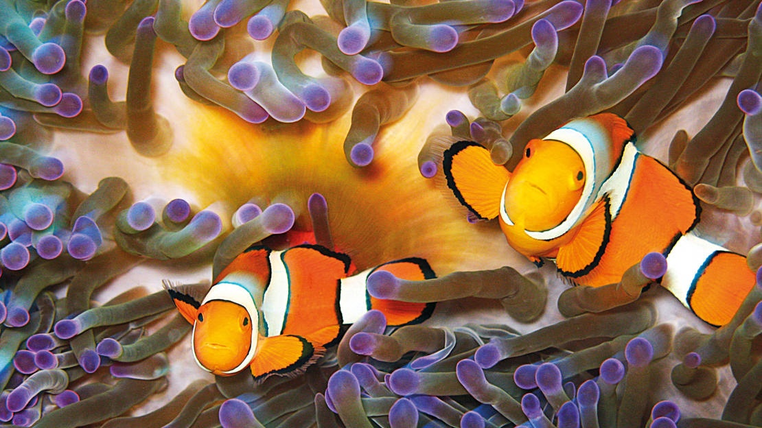 6 diem den cho thieu nhi anh 8