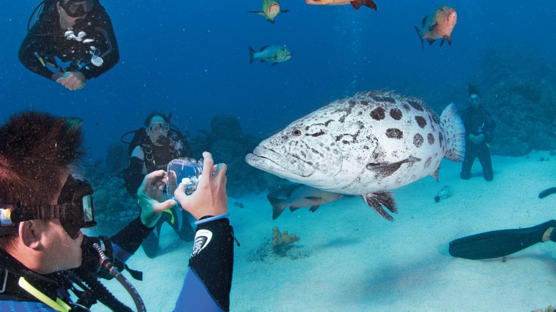 6 diem den cho thieu nhi anh 6