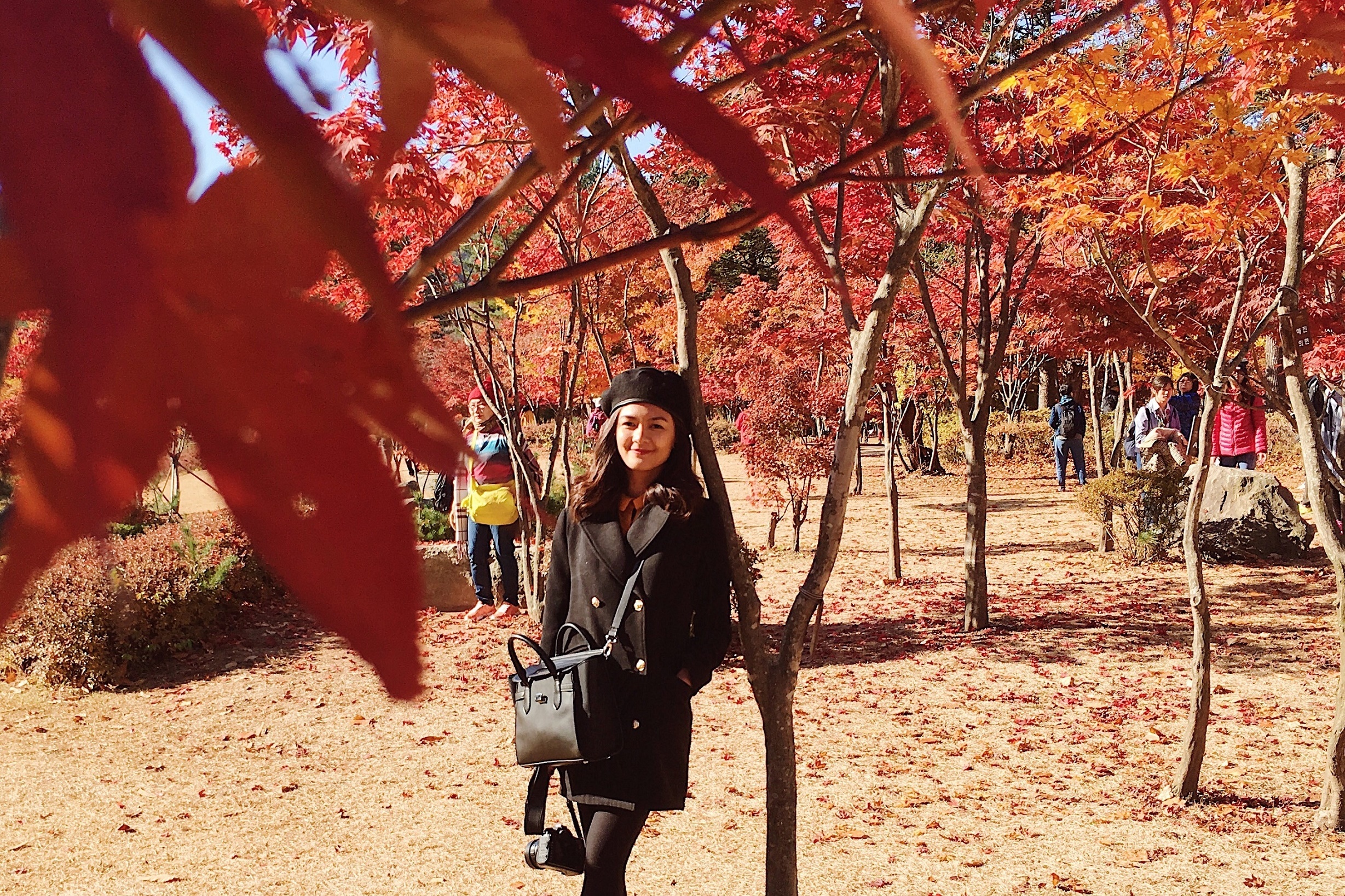 du lich han quoc mua thu anh 5