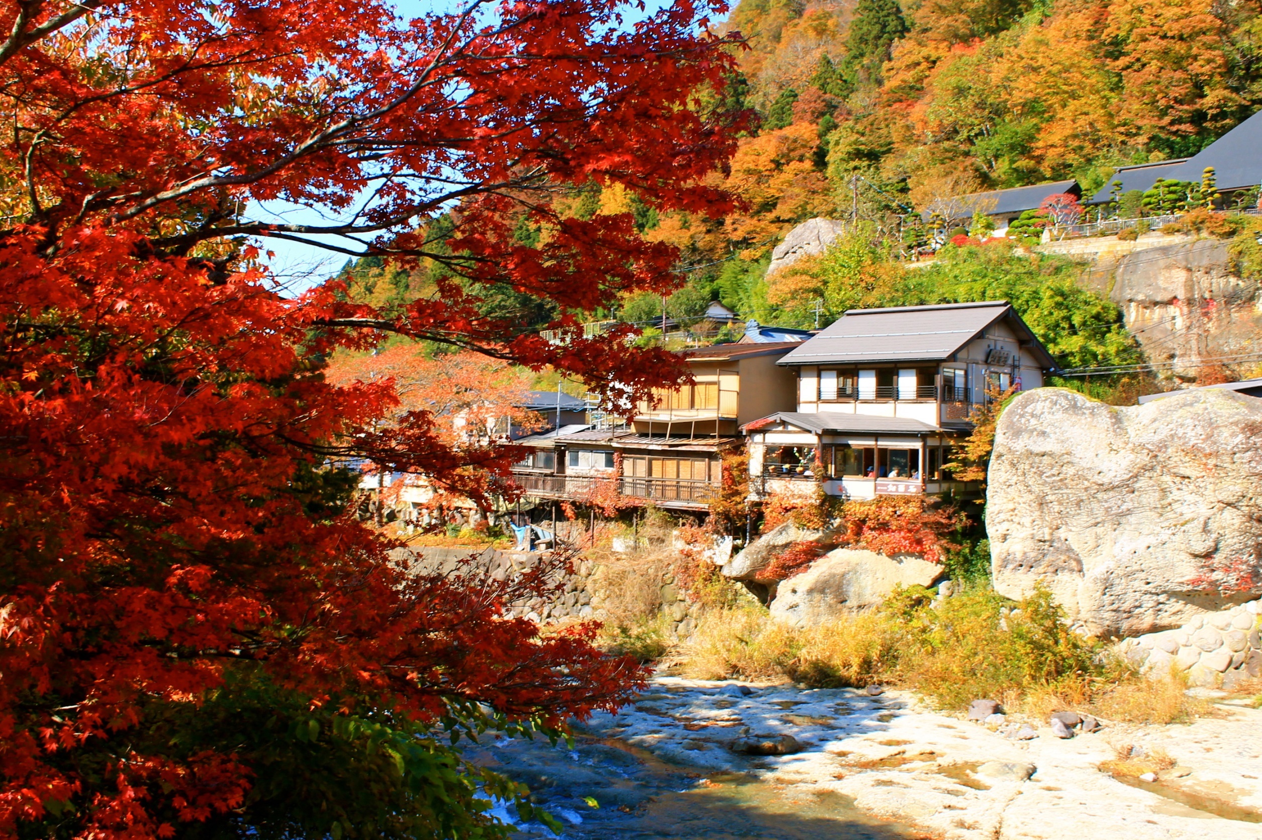 du lich nhat ban mua thu anh 5