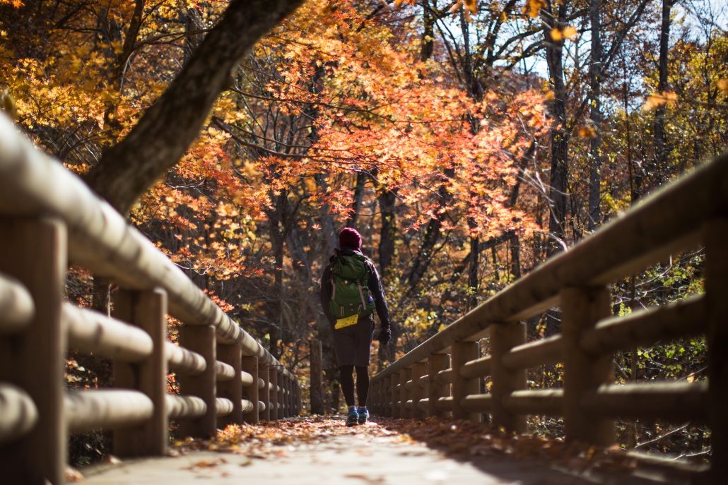 du lich nhat ban mua thu anh 3