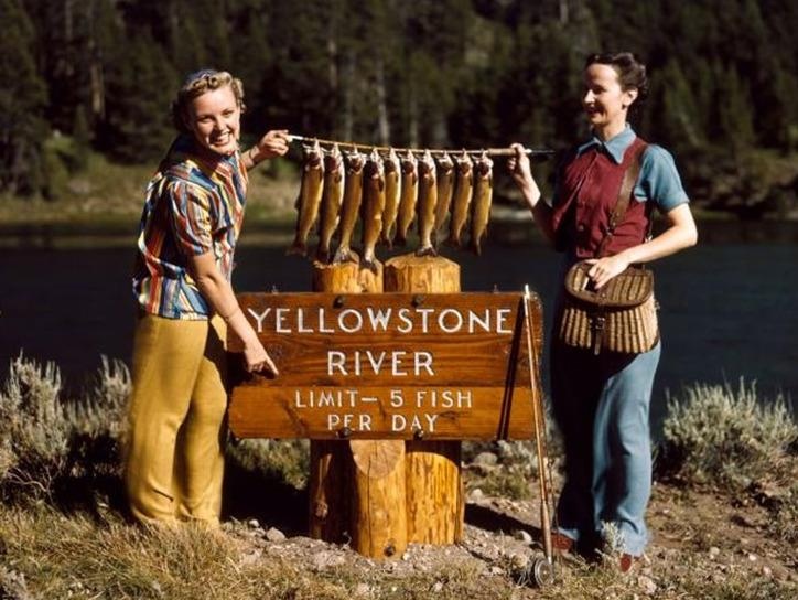 Hinh anh doc dao ve qua khu cua vuon quoc gia dau tien tren the gioi hinh anh