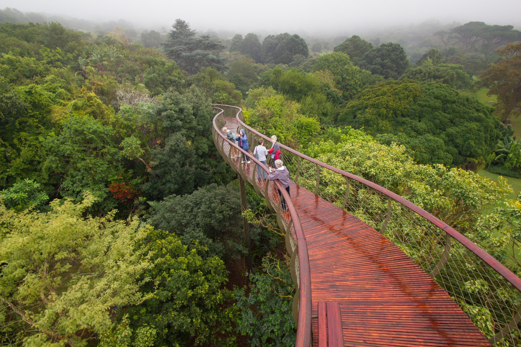 nhung vuon bach thao dep nhat the gioi anh 4